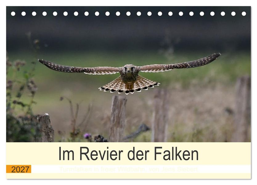 Im Revier der Falken (Tischkalender 2027 DIN A5 quer) CALVENDO Monatskalender
