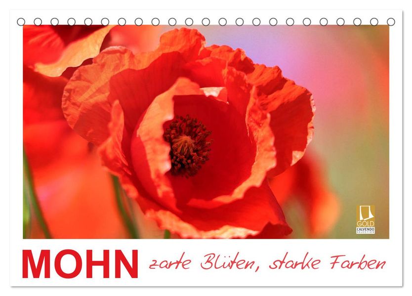 Mohn zarte Blüten starke Farben (Tischkalender 2027 DIN A5 quer) CALVENDO Monatskalender