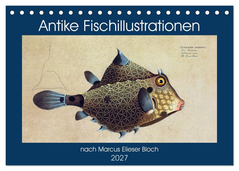 Antike Fischillustrationen nach Marcus Elieser Bloch (Tischkalender 2027 DIN A5 quer) CALVENDO Monatskalender