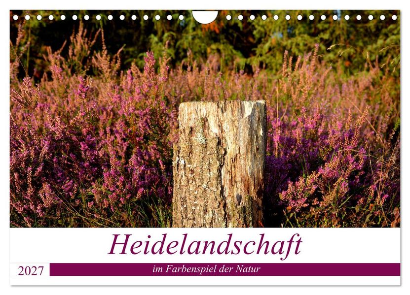 Heidelandschaft im Farbenspiel der Natur (Wandkalender 2027 DIN A4 quer) CALVENDO Monatskalender