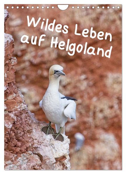 Wildes Leben auf Helgoland (Wandkalender 2027 DIN A4 hoch) CALVENDO Monatskalender