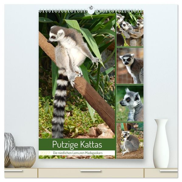 Putzige Kattas (hochwertiger Premium Wandkalender 2027 DIN A2 hoch) Kunstdruck in Hochglanz