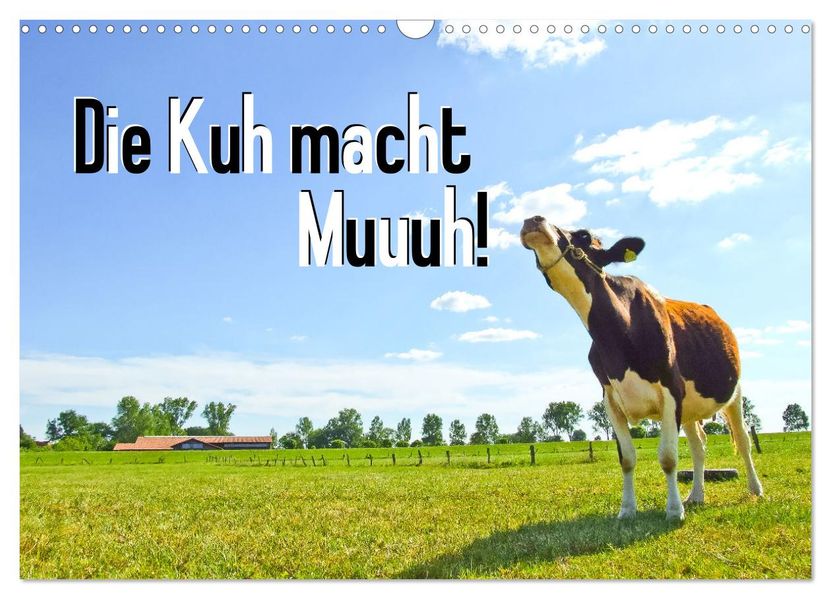 Die Kuh macht Muuuh! (Wandkalender 2027 DIN A3 quer) CALVENDO Monatskalender