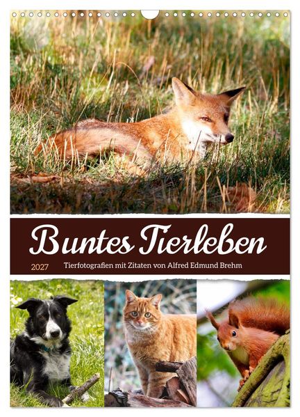 Buntes Tierleben (Wandkalender 2027 DIN A3 hoch) CALVENDO Monatskalender