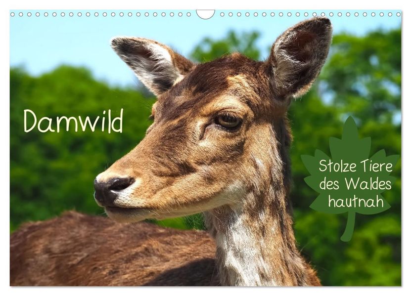 Damwild - stolze Tiere des Waldes hautnah (Wandkalender 2027 DIN A3 quer) CALVENDO Monatskalender