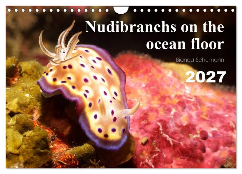 Nudibranchs on the ocean floor (Wall Calendar 2027 DIN A4 landscape) CALVENDO 12 Month Wall Calendar