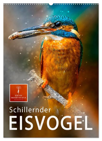 Schillernder Eisvogel (Wandkalender 2027 DIN A2 hoch) CALVENDO Monatskalender