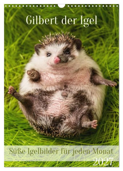Gilbert der Igel (Wandkalender 2027 DIN A3 hoch) CALVENDO Monatskalender