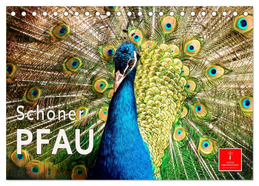 Schöner Pfau (Tischkalender 2027 DIN A5 quer) CALVENDO Monatskalender
