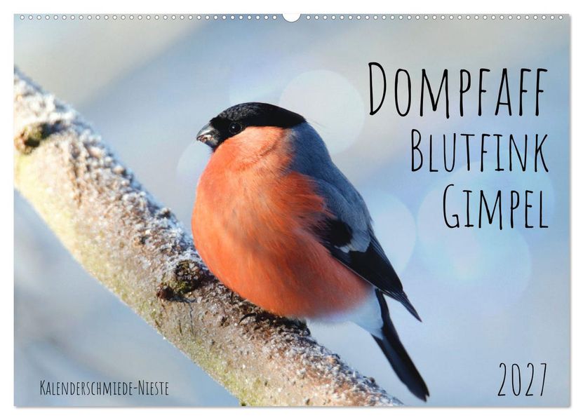 Dompfaff Blutfink Gimpel (Wandkalender 2027 DIN A2 quer) CALVENDO Monatskalender
