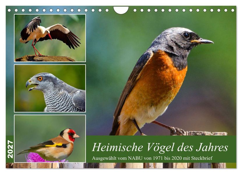 Heimische Vögel des Jahres (Wandkalender 2027 DIN A4 quer) CALVENDO Monatskalender