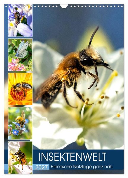 INSEKTENWELT - Heimische Nützlinge ganz nah (Wandkalender 2027 DIN A3 hoch) CALVENDO Monatskalender
