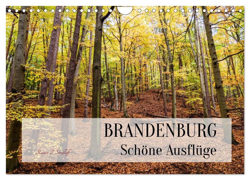 Brandenburg Schöne Ausflüge (Wandkalender 2027 DIN A4 quer) CALVENDO Monatskalender
