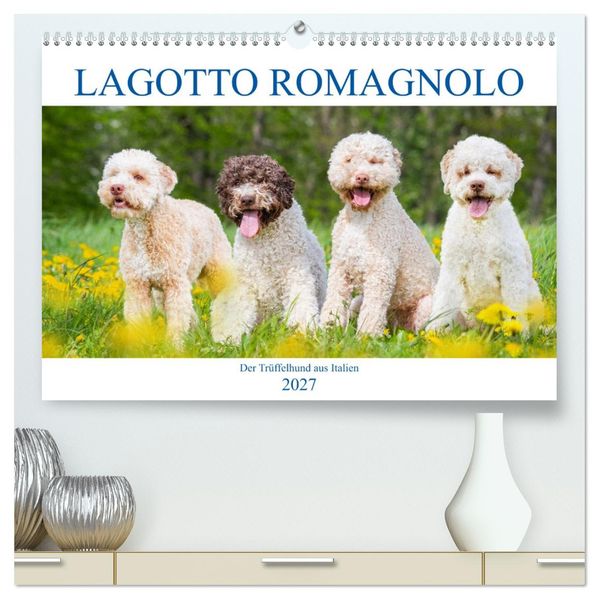 Lagotto Romagnolo - Der Trüffelhund aus Italien (hochwertiger Premium Wandkalender 2027 DIN A2 quer) Kunstdruck in Hochglanz