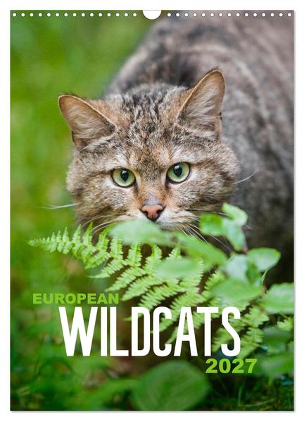 European Wildcats (Wall Calendar 2027 DIN A3 portrait) CALVENDO 12 Month Wall Calendar
