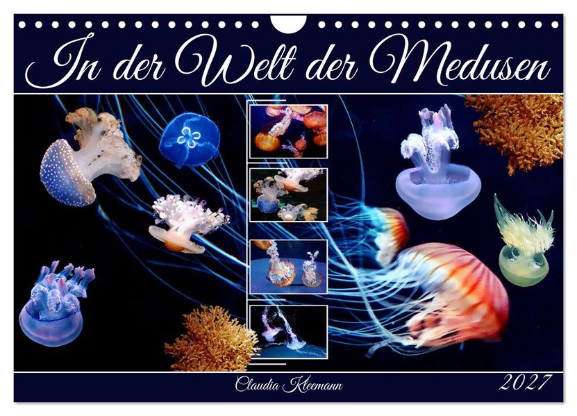 In der Welt der Medusen (Wandkalender 2027 DIN A4 quer) CALVENDO Monatskalender