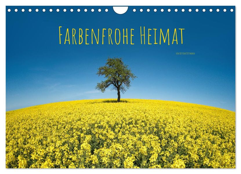 Farbenfrohe Heimat (Wandkalender 2027 DIN A4 quer) CALVENDO Monatskalender