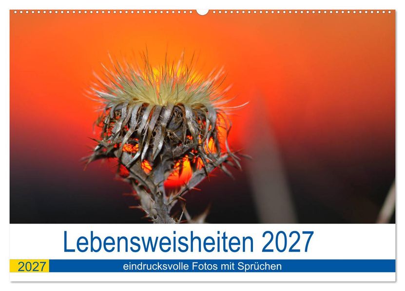 Lebensweisheiten 2027 (Wandkalender 2027 DIN A2 quer) CALVENDO Monatskalender