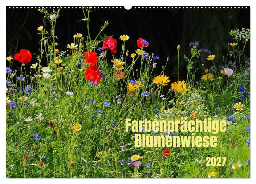 Farbenprächtige Blumenwiese (Wandkalender 2027 DIN A2 quer) CALVENDO Monatskalender