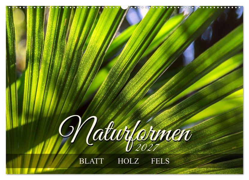 Naturformen Blatt Holz Fels (Wandkalender 2027 DIN A2 quer) CALVENDO Monatskalender