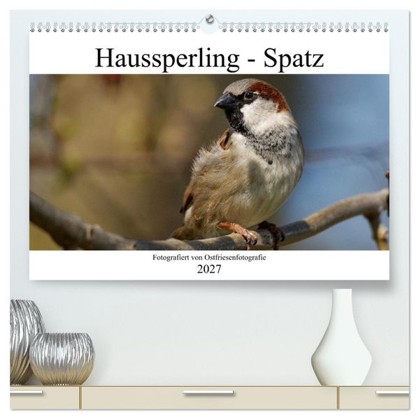 Haussperling - Spatz fotografiert von Ostfriesenfotografie (hochwertiger Premium Wandkalender 2027 DIN A2 quer) Kunstdruck in Hochglanz