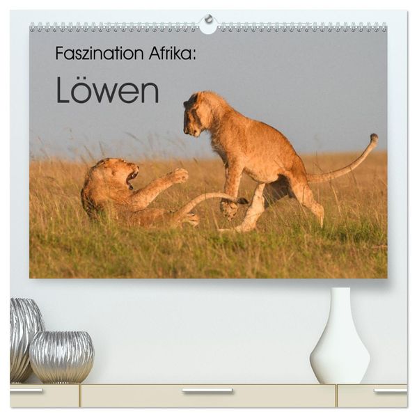 Faszination Afrika: Löwen (hochwertiger Premium Wandkalender 2027 DIN A2 quer) Kunstdruck in Hochglanz