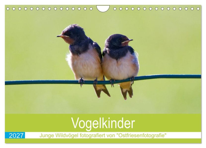 Vogelkinder - Junge Wildvögel (Wandkalender 2027 DIN A4 quer) CALVENDO Monatskalender