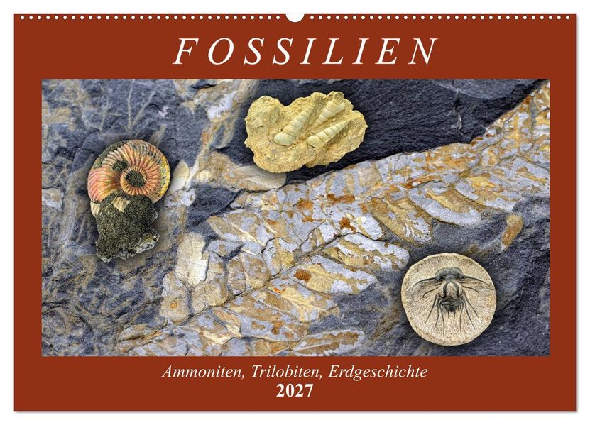 Fossilien - Ammoniten Trilobiten Erdgeschichte (Wandkalender 2027 DIN A2 quer) CALVENDO Monatskalender