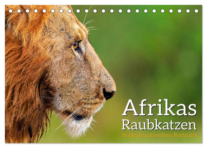 Afrikas Raubkatzen in eindrucksvollen Portraits (Tischkalender 2027 DIN A5 quer) CALVENDO Monatskalender