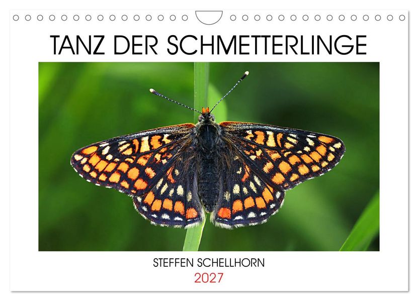 TANZ DER SCHMETTERLINGE (Wandkalender 2027 DIN A4 quer) CALVENDO Monatskalender