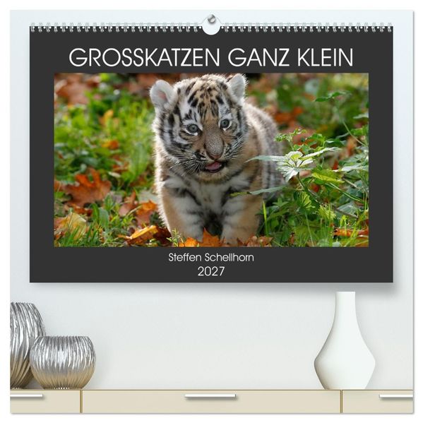 GROSSKATZEN GANZ KLEIN (hochwertiger Premium Wandkalender 2027 DIN A2 quer) Kunstdruck in Hochglanz