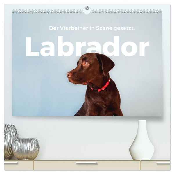 Labrador - Der Vierbeiner in Szene gesetzt. (hochwertiger Premium Wandkalender 2027 DIN A2 quer) Kunstdruck in Hochglanz