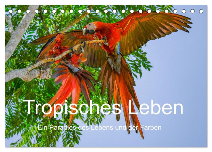 Tropisches Leben Ein Paradies des Lebens und der Farben (Tischkalender 2027 DIN A5 quer) CALVENDO Monatskalender