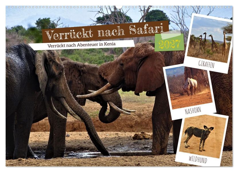 Verrückt nach Safari Verrückt nach Abenteuer in Kenia (Wandkalender 2027 DIN A2 quer) CALVENDO Monatskalender