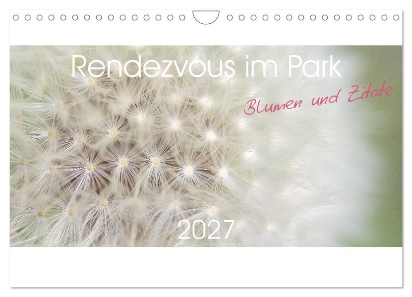 Rendezvous im Park (Wandkalender 2027 DIN A4 quer) CALVENDO Monatskalender