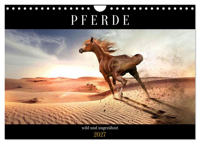 Pferde - wild und ungezähmt (Wandkalender 2027 DIN A4 quer) CALVENDO Monatskalender