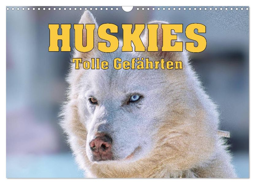 Huskies - Tolle Gefährten (Wandkalender 2027 DIN A3 quer) CALVENDO Monatskalender