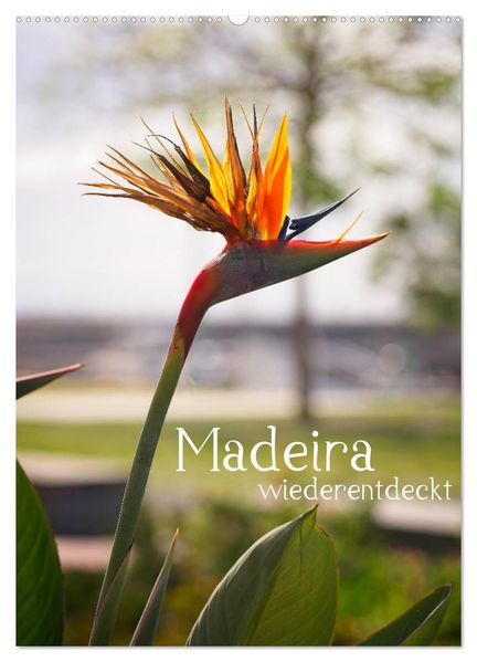 Madeira - wiederentdeckt (Wandkalender 2027 DIN A2 hoch) CALVENDO Monatskalender