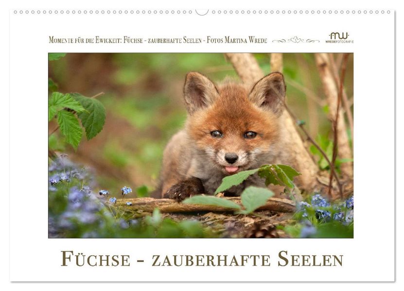 Füchse - zauberhafte Seelen (Wandkalender 2027 DIN A2 quer) CALVENDO Monatskalender