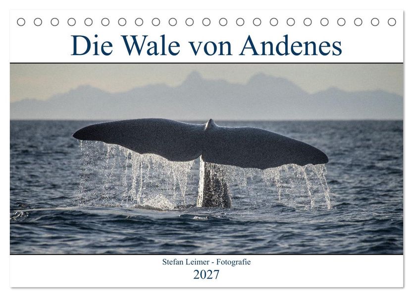 Die Wale von Andenes (Tischkalender 2027 DIN A5 quer) CALVENDO Monatskalender