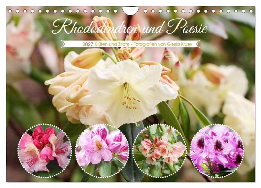 Rhododendren und Poesie (Wandkalender 2027 DIN A4 quer) CALVENDO Monatskalender