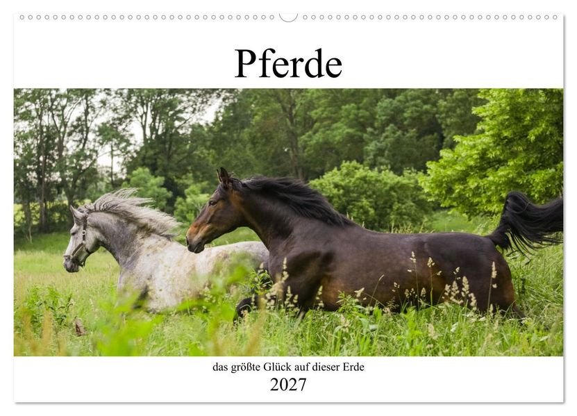 Pferde das größte Glück auf dieser Erde (Wandkalender 2027 DIN A2 quer) CALVENDO Monatskalender