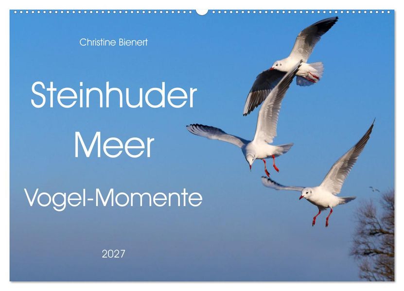 Steinhuder Meer Vogel-Momente (Wandkalender 2027 DIN A2 quer) CALVENDO Monatskalender