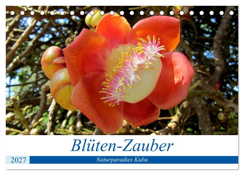 Blüten-Zauber - Naturparadies Kuba (Tischkalender 2027 DIN A5 quer) CALVENDO Monatskalender