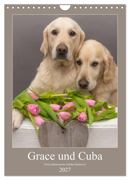 Grace und Cuba - Zwei liebenswerte Golden Retriever (Wandkalender 2027 DIN A4 hoch) CALVENDO Monatskalender