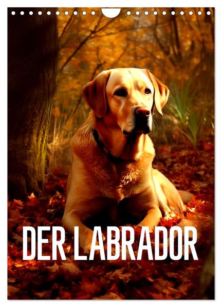 Der Labrador (Wandkalender 2027 DIN A4 hoch) CALVENDO Monatskalender