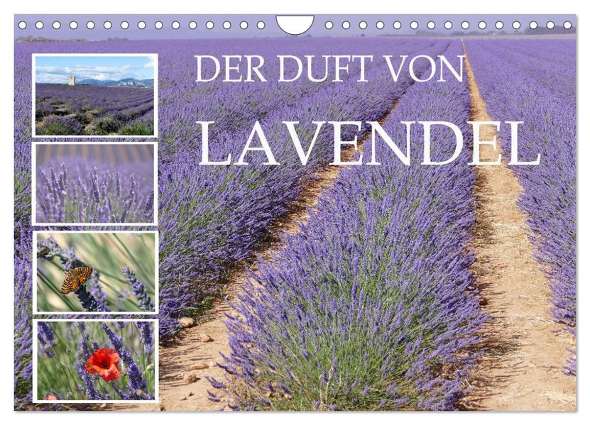 Der Duft von Lavendel (Wandkalender 2027 DIN A4 quer) CALVENDO Monatskalender