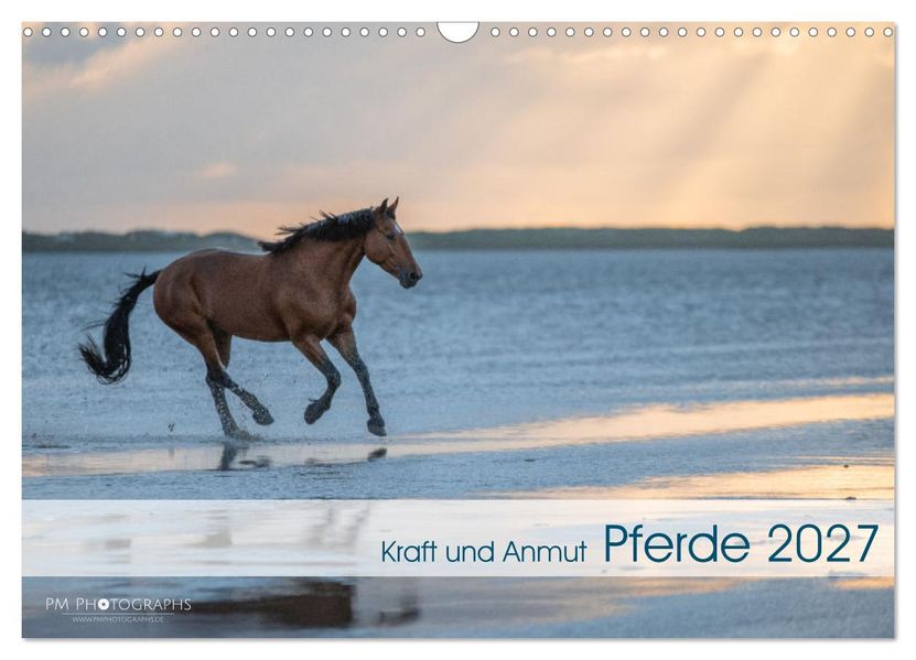 Pferde 2027 Kraft und Anmut (Wandkalender 2027 DIN A3 quer) CALVENDO Monatskalender