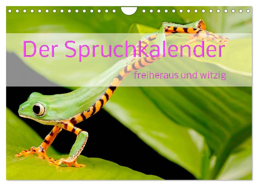 Der Spruchkalender - freiheraus und witzig (Wandkalender 2027 DIN A4 quer) CALVENDO Monatskalender