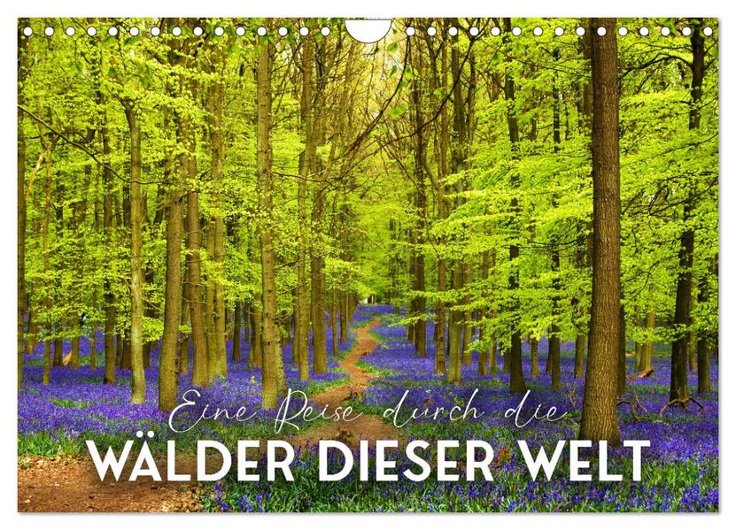 Eine Reise durch die Wälder dieser Welt (Wandkalender 2027 DIN A4 quer) CALVENDO Monatskalender